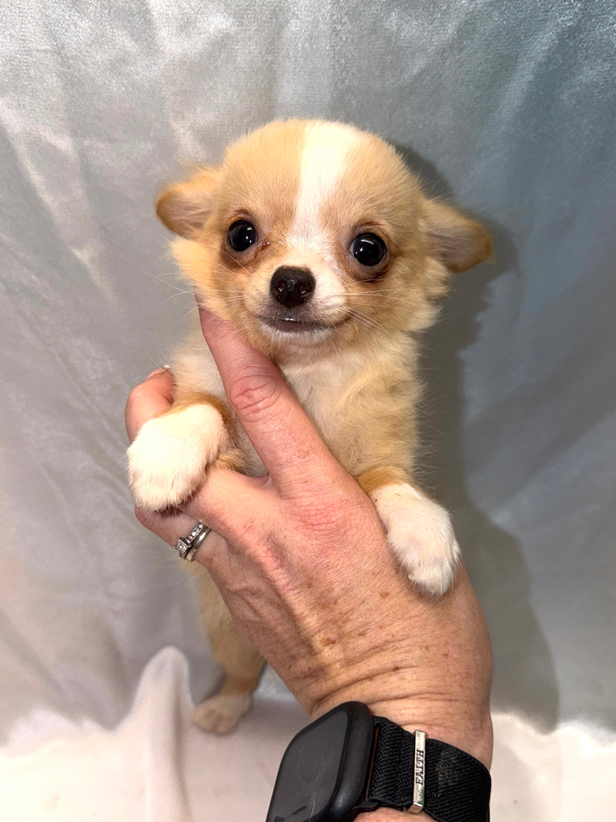 Bowie